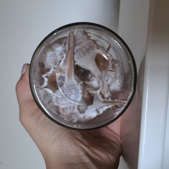 Jar of sealed shells - Picture 3 of 4
